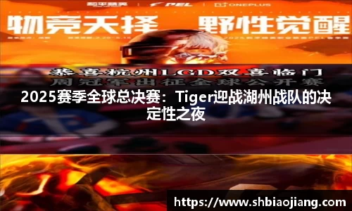 2025赛季全球总决赛：Tiger迎战湖州战队的决定性之夜